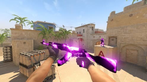 Cover of PREDATOR SYSTEMS